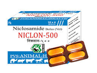 niclosamid---thuoc-tri-nhiem-san-day.