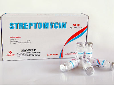 streptomycin---thuoc-chong-lao