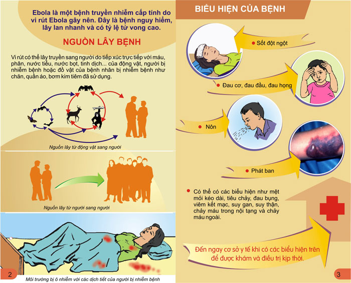 Ebola và các biểu hiện của bệnh Ebola
