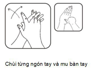 Cách rửa tay sạch 3 - Chùi từng ngón tay và mu bàn tay