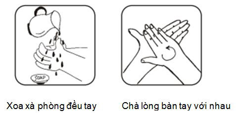Cách rửa tay sạch 1 - Xoa xà phòng và chà lòng bàn tay