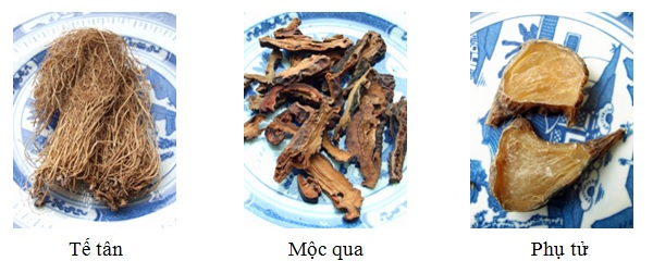 Đông y điều trị chứng chuột rút