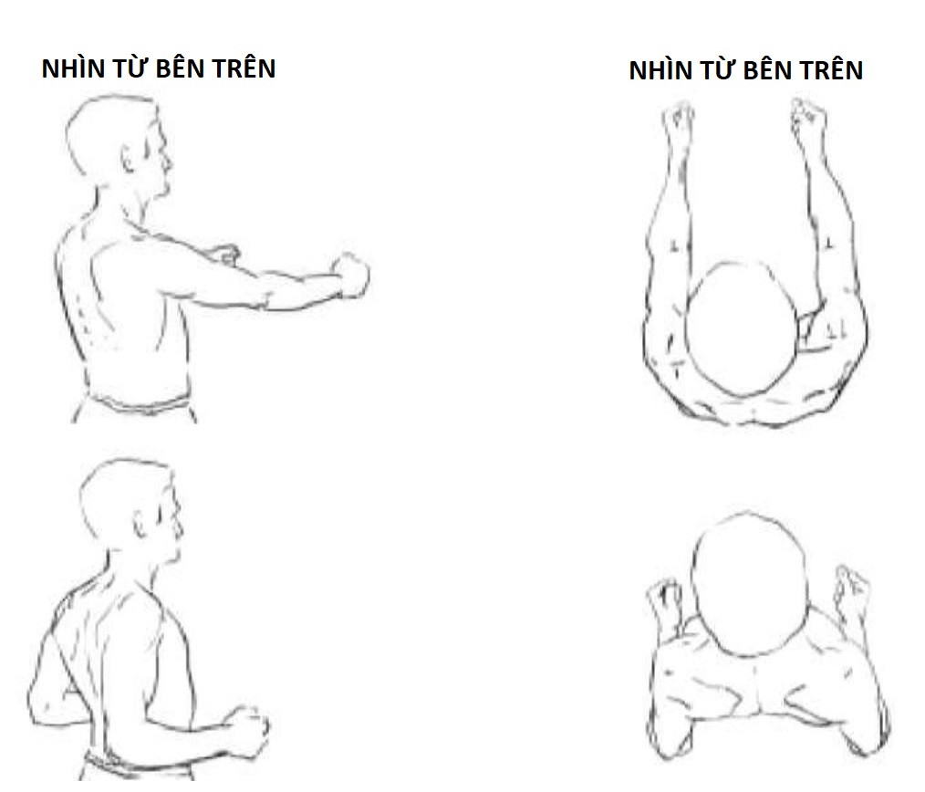 Bài tập 2 ép vai ra sau