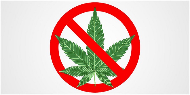 bùng phát hiện tượng chảy máu liên quan tới cannabinoid (cần sa) tổng hợp tại Hoa Kỳ