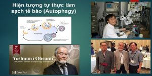 ung thu biet som tri lanh