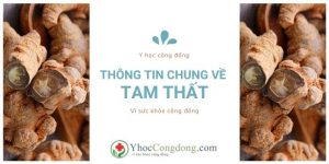 Thông tin chung về Tam thất