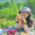 Trần Thị Trinh