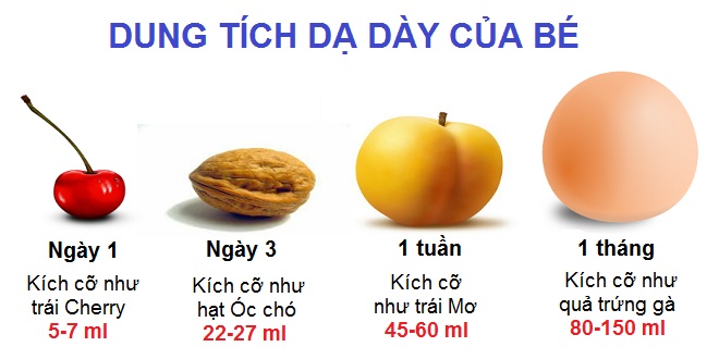 Kích thước của dạ dày trẻ sơ sinh