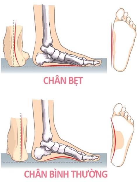 Bài 2.05: Vắc xin tiểu đơn vị 1