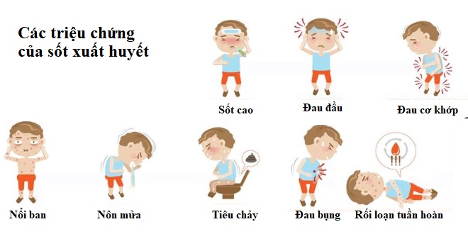 Các triệu chứng của sốt xuất huyết
