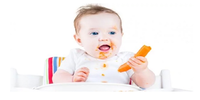 Giải mã về BLW (phương pháp ăn dặm bé chỉ huy)