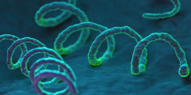 bệnh lâụ bệnh chlamydia và bệnh giang mai