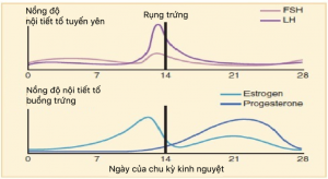 sự thay đổi hormone trong chu kỳ