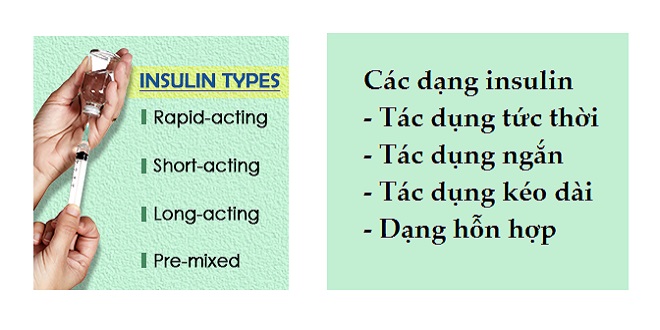 Thuốc Inssulin R Phân loại insulin trong điều trị bệnh tiểu đường - Y học cộng đồng
