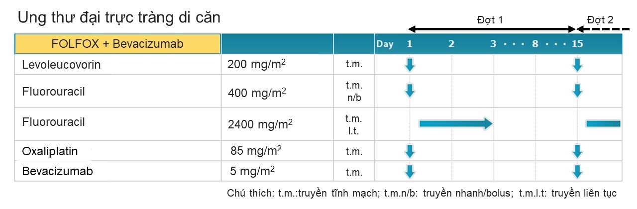 Hình 2. Minh họa phác đồ FOLFOX kết hợp với Bevacizumab. Mũi tên xanh chỉ ngày truyền thuốc.