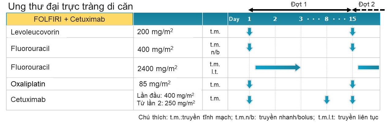Hình 3. Minh họa phác đồ FOLFIRI kết hợp với Cetuximab. Mũi tên xanh chỉ ngày truyền thuốc.