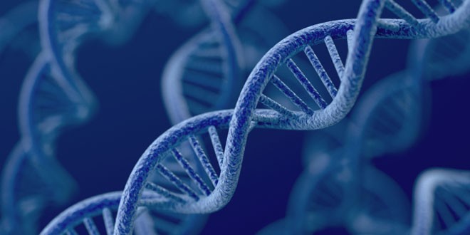 những điều cần biết về xét nghiệm gene trong tầm soát ung thư