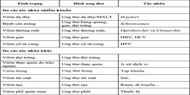 vai-tro-viem-man-tinh-voi-ung-thu