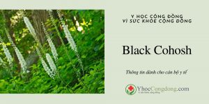 Black Cohosh - Thông tin dành cho cán bộ y tế