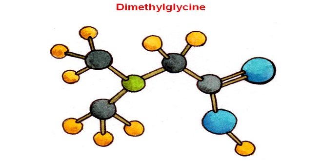 Dimethylglycine -Thông tin dành cho bệnh nhân & người chăm sóc