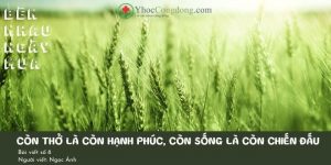 Bên nhau ngày mưa (Bài viết số 8)