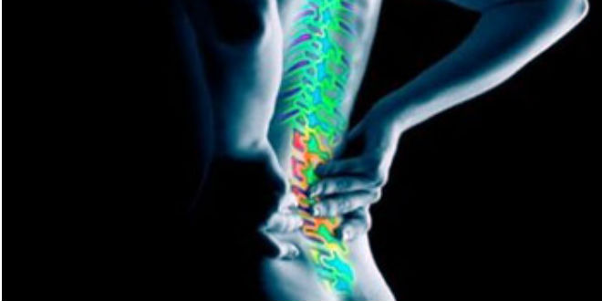 đau thắt lưng không đặc hiệu ở người lớn