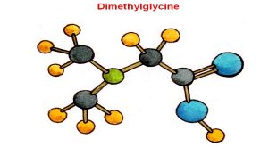 Dimethylglycine - Thông tin dành cho cán bộ y tế