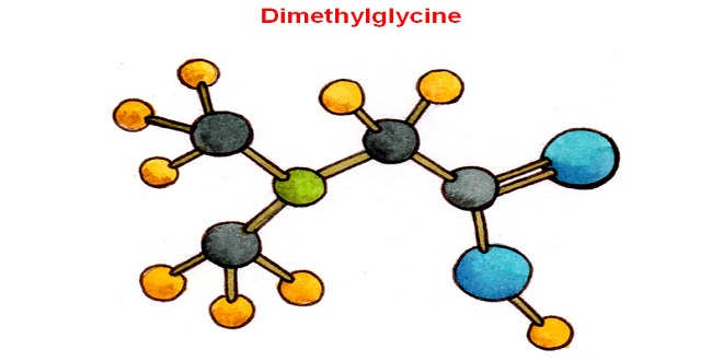 Dimethylglycine - Thông tin dành cho cán bộ y tế
