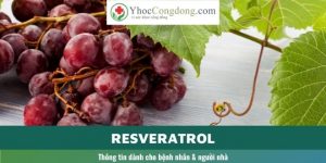 Resveratrol - Thông tin dành cho bệnh nhân và người nhà