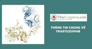 Thông tin chung về Trastuzumab